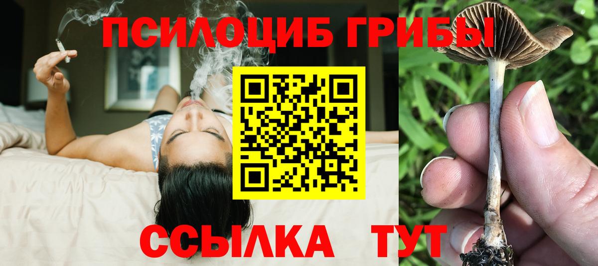 Галлюциногенные грибы ЛСД  Вход с VPN  Чернушка  Псилоцибиновые грибы мухоморы 