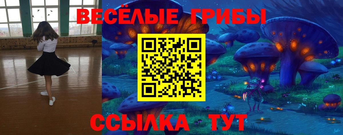 Галлюциногенные грибы Psilocybine cubensis Чернушка
